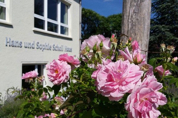 Gruppe von Jugendlichen auf einer Treppe
