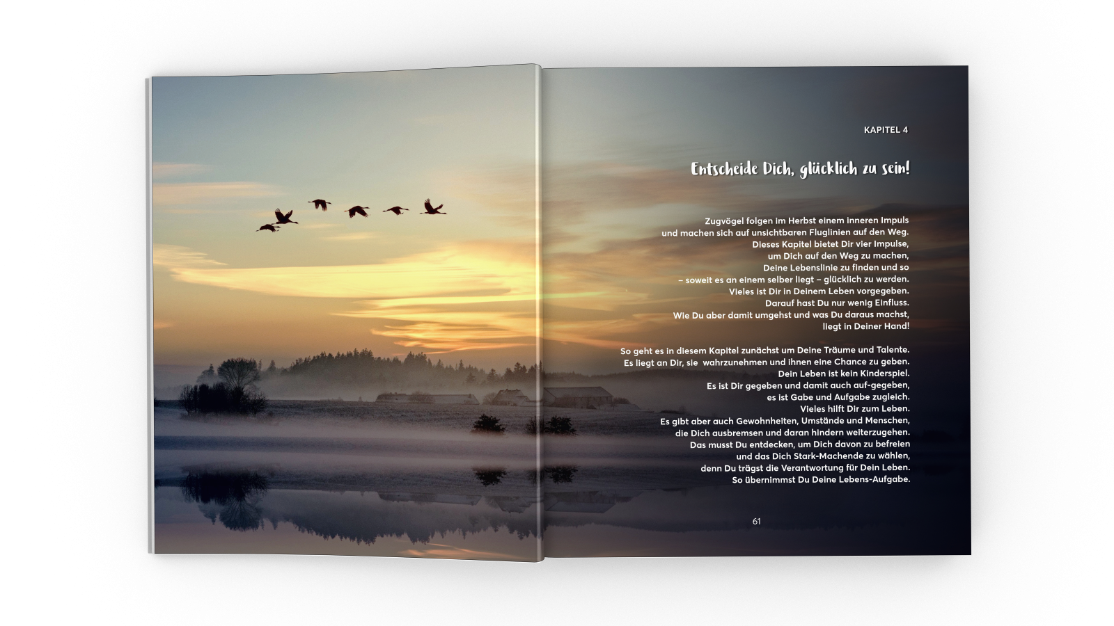 Folie 5